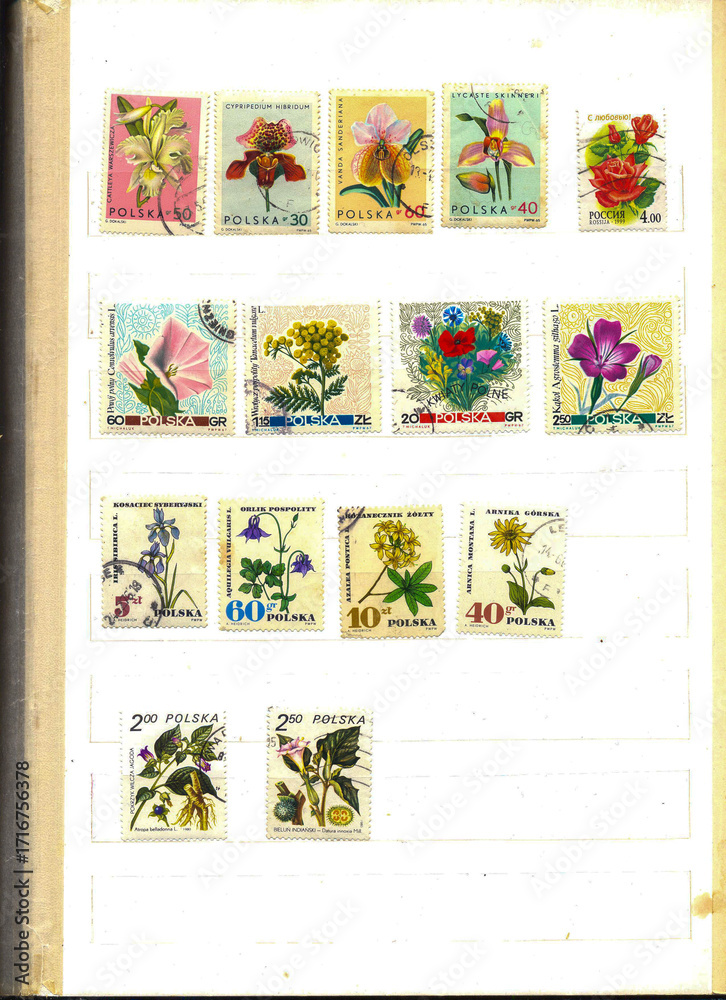 Obraz premium Varied Commemorative Postage Stamps Highlighting Beautiful Flowers From Different Countries