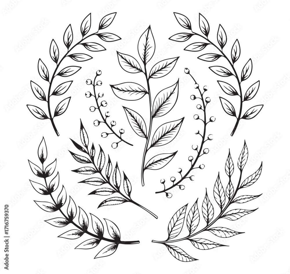 Obraz premium Decorative Laurel Wreath Hand Drawn Vector for Awards and Certificates