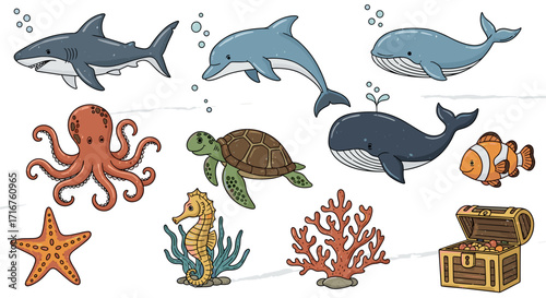 Marine life illustration featuring a shark, dolphin, whale, octopus, turtle and treasure chest