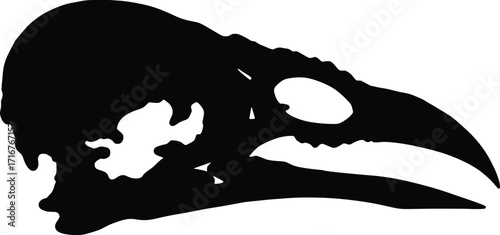 Dynamic Vector Illustration of an Animal Bone Skull, Highlighting Nature's Intricacies in a Black Silhouette Format, Captured in a Minimalist Environment for Artistic Interpretation