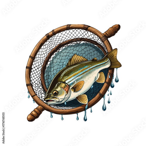 Bass Fish Caught in Fishing Landing Net Illustration
