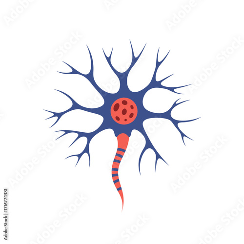 Neuron illustration with branching axon and colorful cell body  
