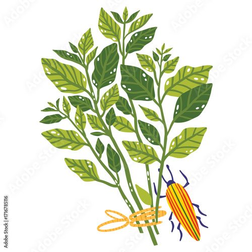 Insect Vector Illustration. Flat Minimal Design. Editable Illustration for Web, Mobile, Print