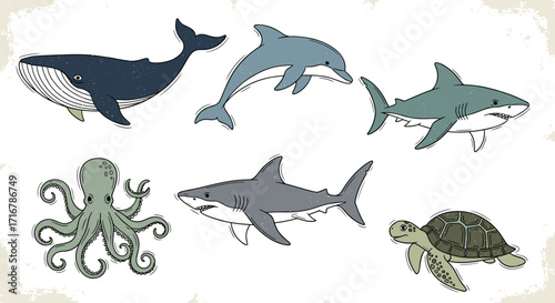 Whale dolphin shark octopus and turtle illustrated in a whimsical hand drawn style