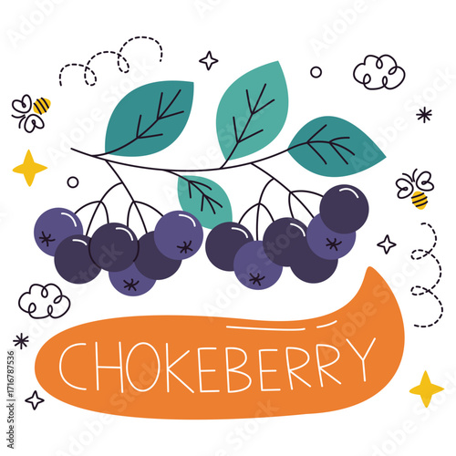 Chockeberry Vector Illustration. Flat Minimal Design. Editable Illustration for Web, Mobile, Print