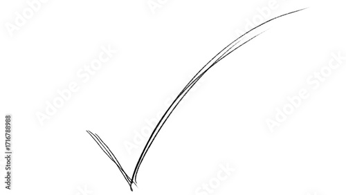 Hand Drawn Check Mark Sketch Doodle Tick Symbol