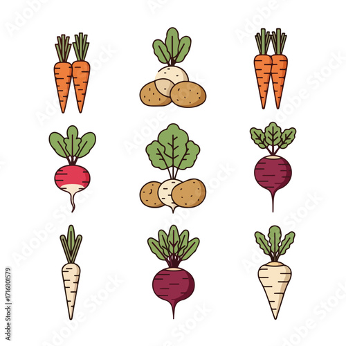 Root vegetable icons set with carrots, potatoes, radishes, turnips and beets. Colorful root vegetable illustrations for healthy eating blog.
