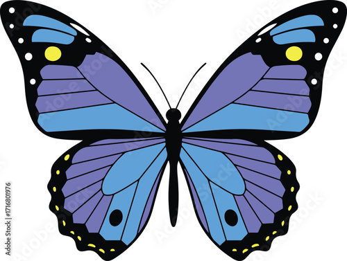  A detailed illustration showcases a striking blue butterfly with subtle purple hues on its wings.