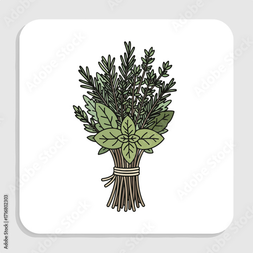 Fresh herbs bouquet with rosemary, thyme, and basil for culinary use, fresh herbs tied together in bunch. Bunch of fresh herbs adds natural flavoring to dishes, herbal concept,