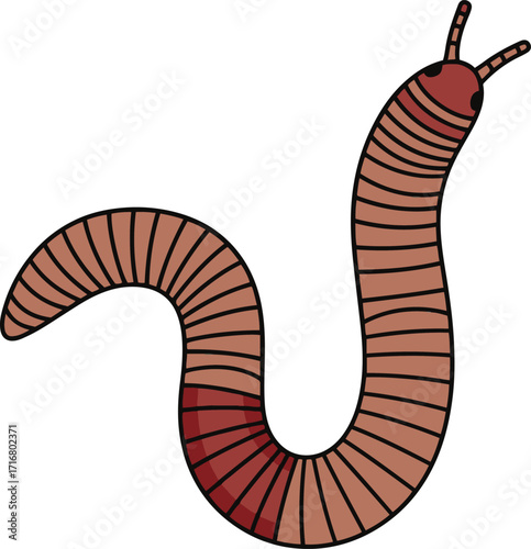 A detailed illustration of a segmented worm, showcasing its anatomical features. The artwork depicts the creature's body segments and coloration with precision.