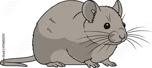 A charming illustration of a small, gray mouse sitting on a white background. Its soft fur, small ears, and delicate whiskers are clearly visible. 