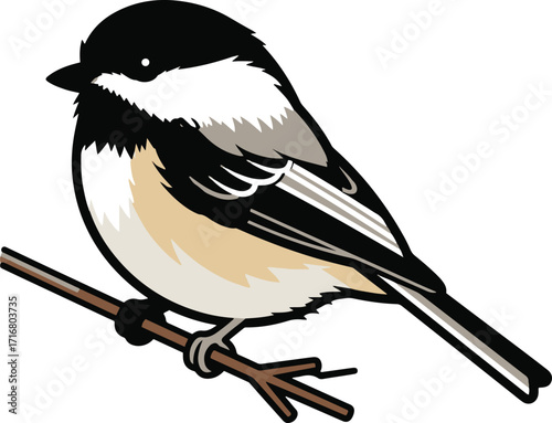 A detailed illustration of a black-capped chickadee perched on a small branch. The bird is depicted in grayscale with subtle color variations.