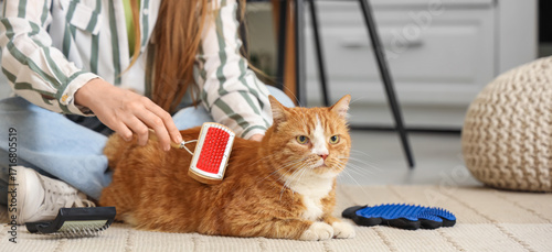 Woman brushing cute cat on ...