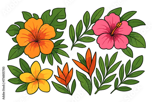 Tropical flowers set vector cartoon illustration. Hibiscus, plumeria, bird of paradise flowers and monstera leaves. Exotic floral jungle botanical collection for summer design.