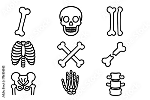 Bones and skeleton parts thin line icon set. Human anatomy concept. Skull, crossbones, rib cage, pelvis, broken bone, spine vector. Medical, orthopedic, Halloween design elements.
