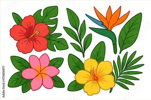 Set of colorful tropical flowers and exotic leaves. Cartoon vector illustration of hibiscus, frangipani, bird of paradise, and monstera. Hawaiian summer floral design elements.