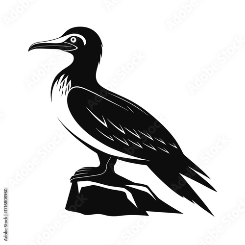 Elegant silhouette of a booby bird perched on a rock