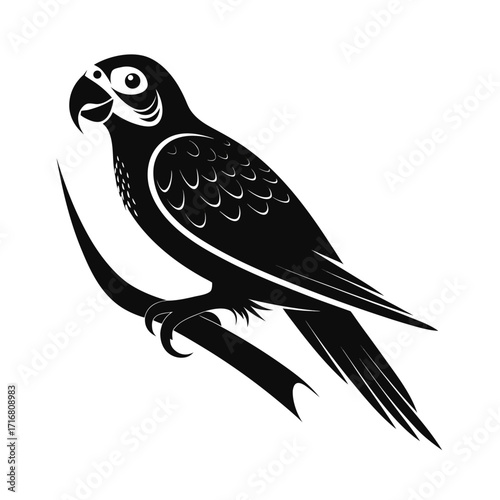 A simple budgerigar bird perched gracefully