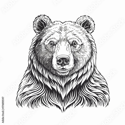 engrave isolated bear illustration vector sketch linear art
