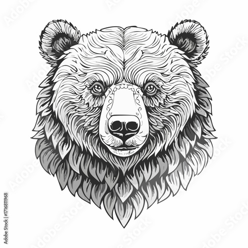 engrave isolated bear illustration vector sketch linear art