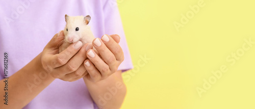 Woman with cute funny hamst...