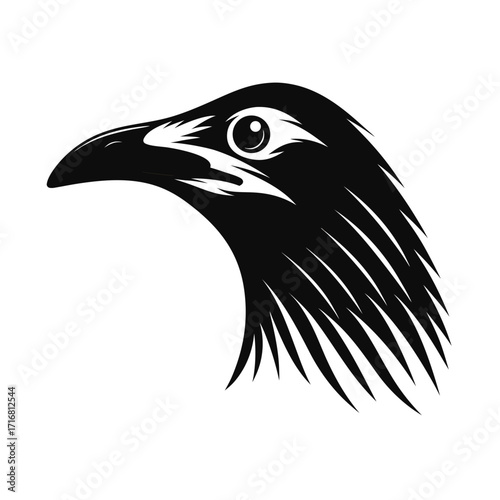 Giant flightless bird head silhouette for banners and advertisements