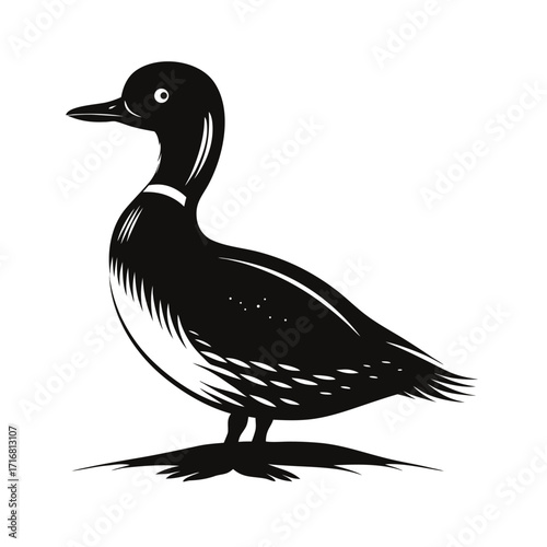 A solitary duck stands on the shore at sunset
