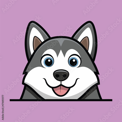 Alaskan Malamute dog