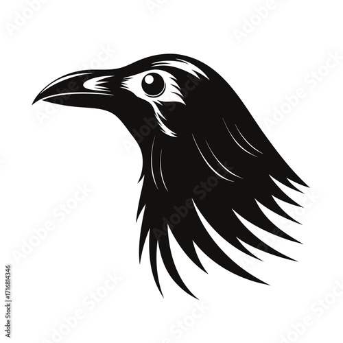 Elegant side profile of a giant flightless bird