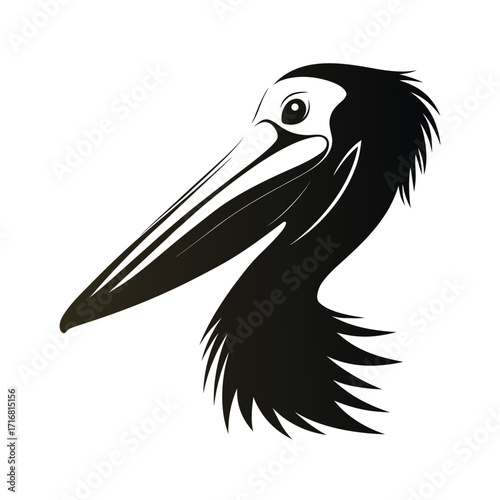 Silhouette of a pelican head with a large beak