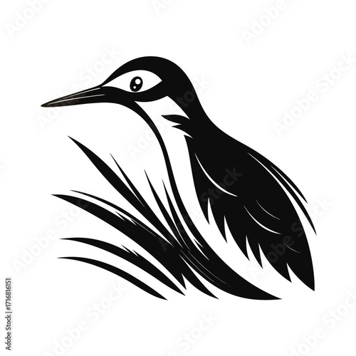 Jacana bird walking on water plants silhouette