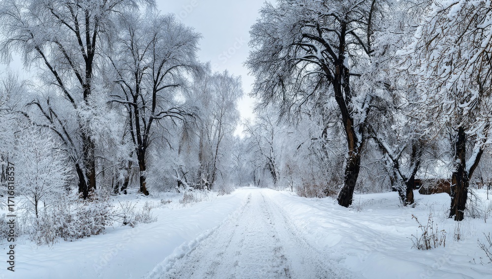 Fototapeta premium Snowy winter forest path