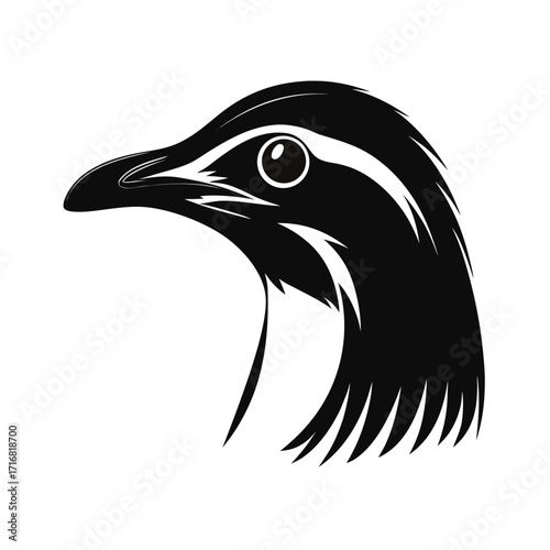 Detailed silhouette of a small flightless bird head