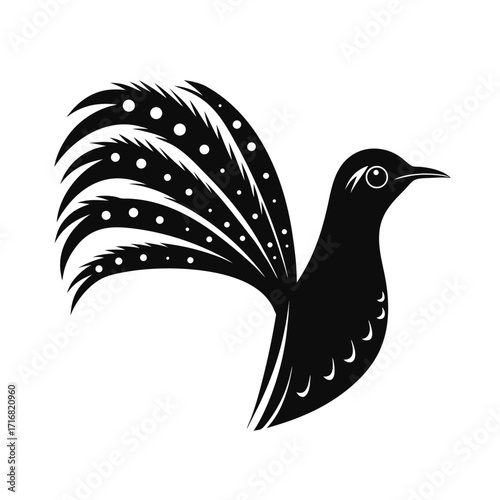 Bold silhouette of a lyrebird displaying its tail