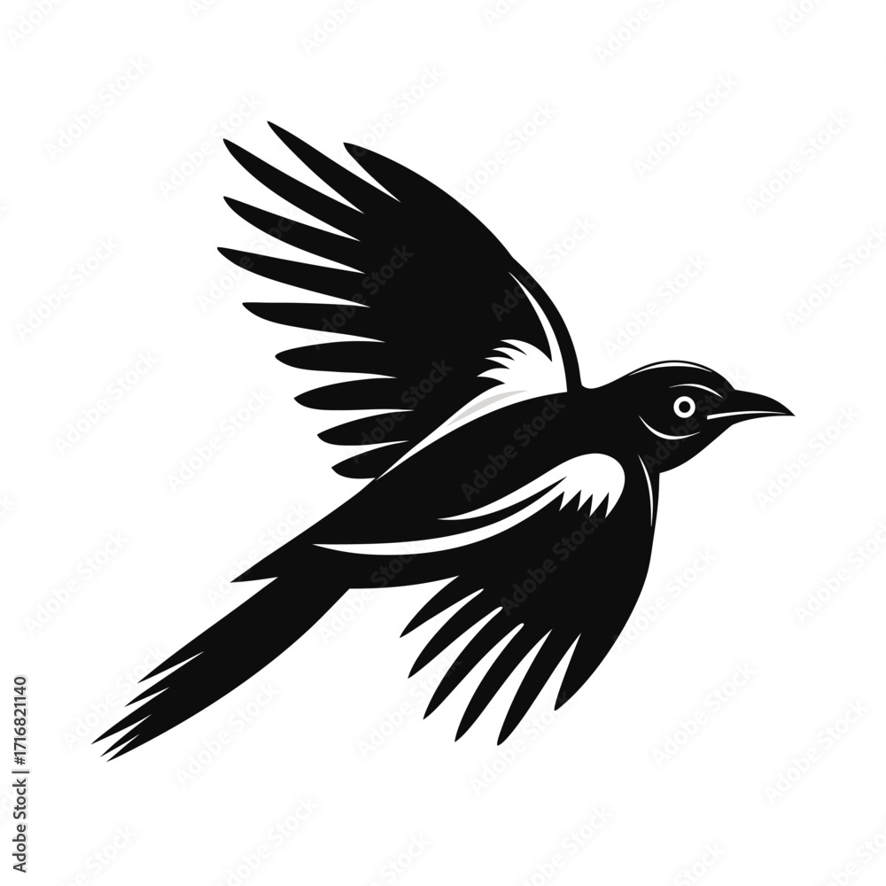 Fototapeta premium Bold magpie silhouette in mid flight