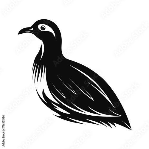 Medium sized flightless bird in side profile illustration