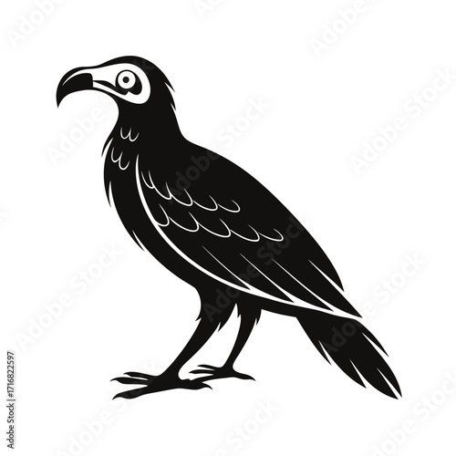 Medium sized flightless bird walking calmly illustration