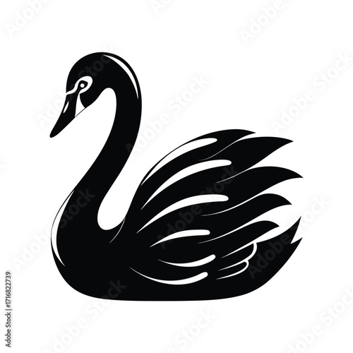 Elegant mute swan silhouette gliding on white background
