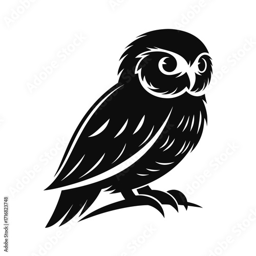 Bold silhouette of a nocturnal owl perched calmly