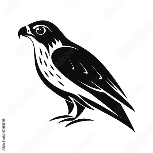 Silhouette of a hunting raptor bird in a perched pose