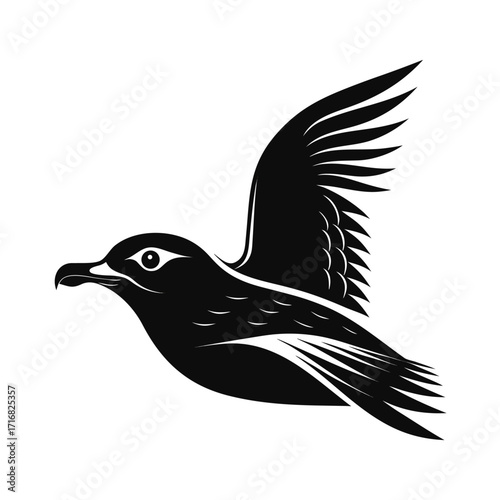 Bold silhouette of a petrel soaring over the ocean
