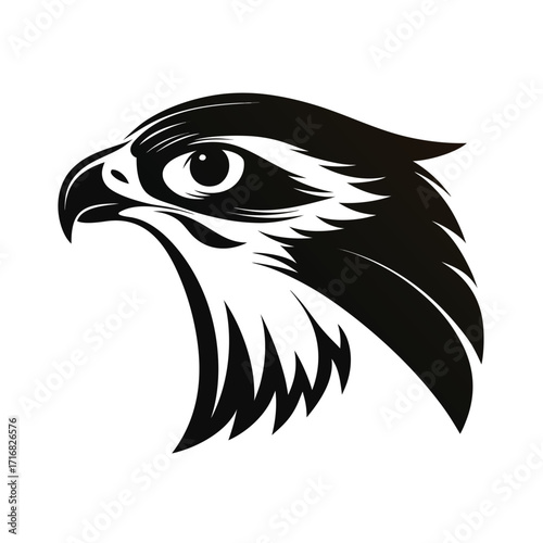 Elegant raptor bird soaring silhouette