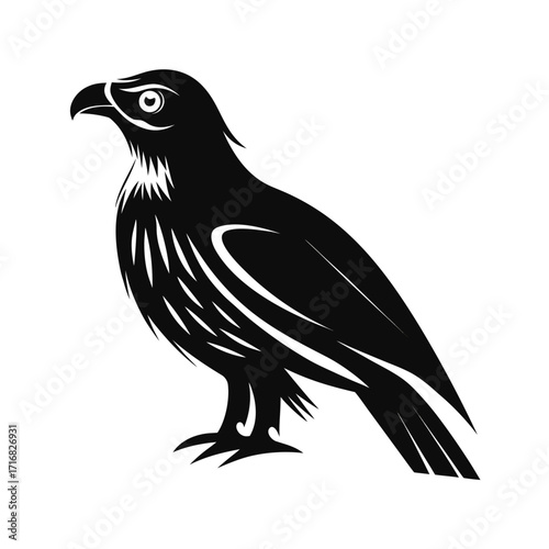 Alert raptor bird silhouette elegant perched