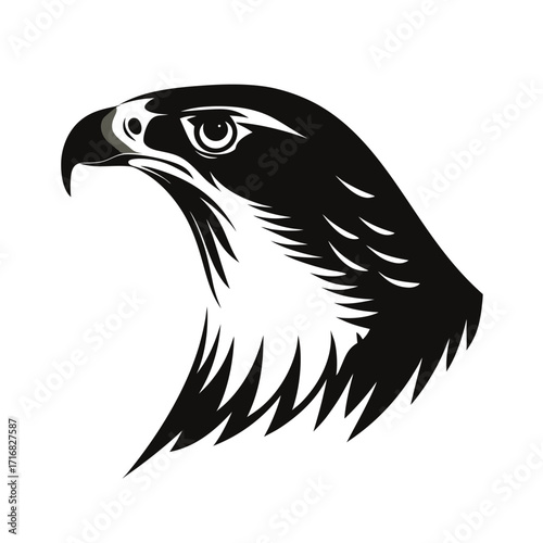 Majestic raptor bird soaring against bold silhouette
