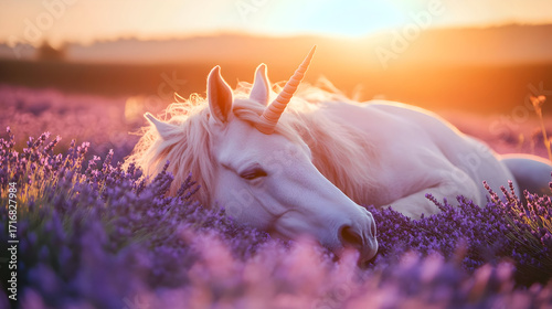 White unicorn in lavender field at sunset