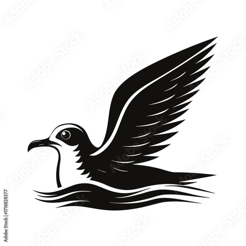 Seagull silhouette hovering over water