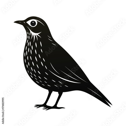Elegant small flightless bird illustration