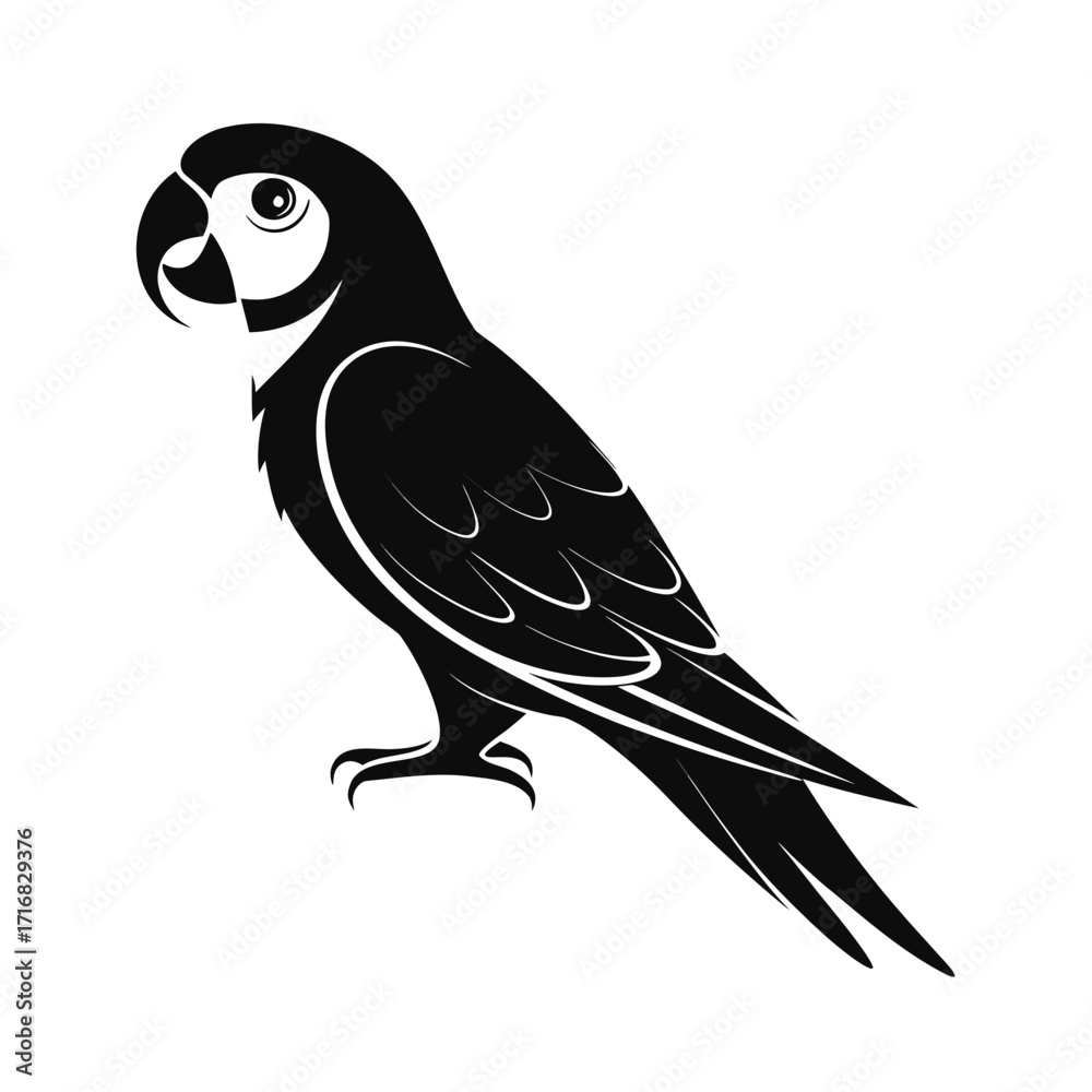 Obraz premium A small parrot silhouette perched calmly