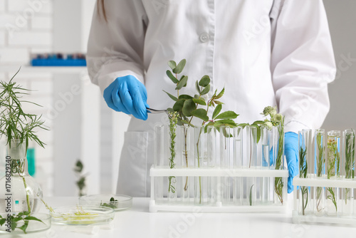 Female scientist working with plants samples and tweezers in laboratory, closeup