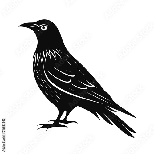 Striking silhouette of a flightless bird perched